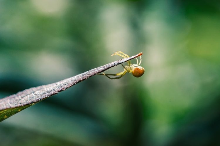 Building the Backbone: A Comprehensive Guide to Backend Web Application Development