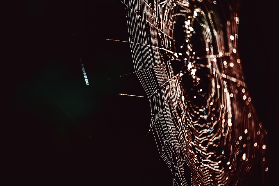 Awesome Image