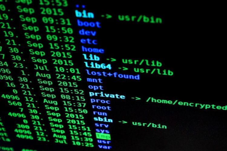 Build Faster, Smarter, and Better: A Look at Top SaaS Development Platforms