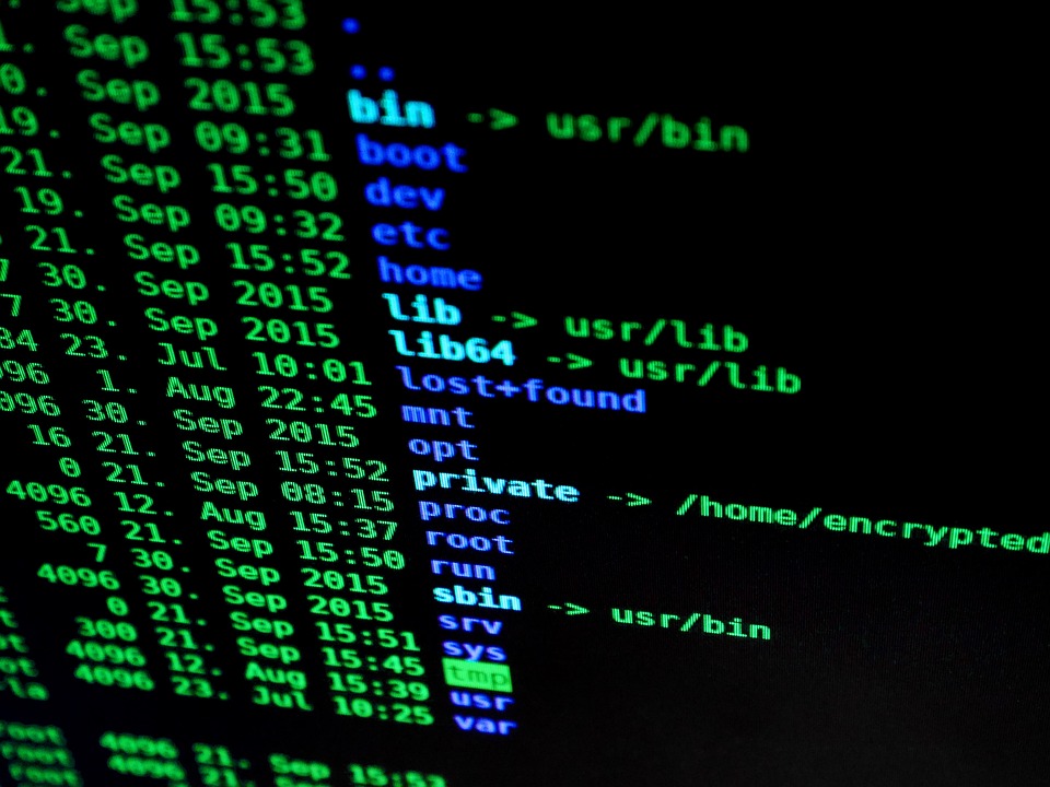 Build Faster, Smarter, and Better: A Look at Top SaaS Development Platforms
