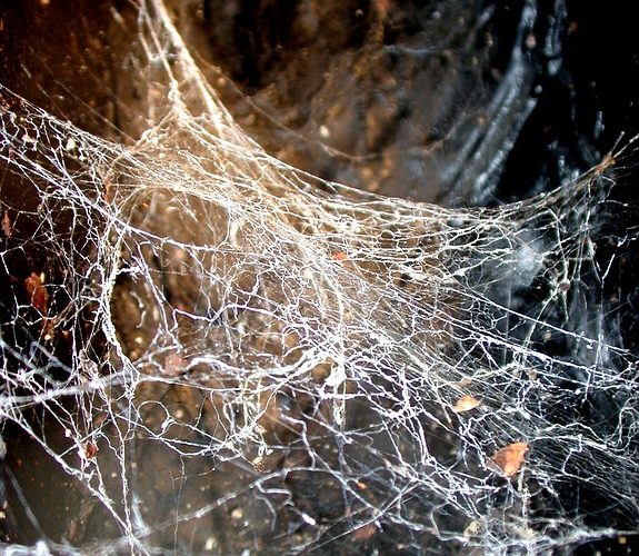 Evolving eCommerce: How to Leverage AI in Web Apps