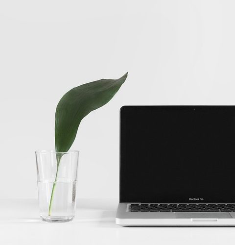 From Concept to Launch: The Comprehensive Guide to B2B Web App Development