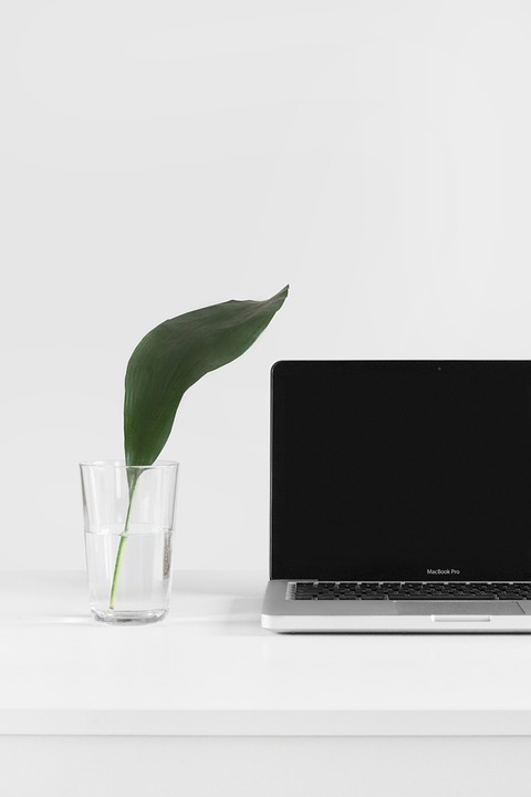 From Concept to Launch: The Comprehensive Guide to B2B Web App Development