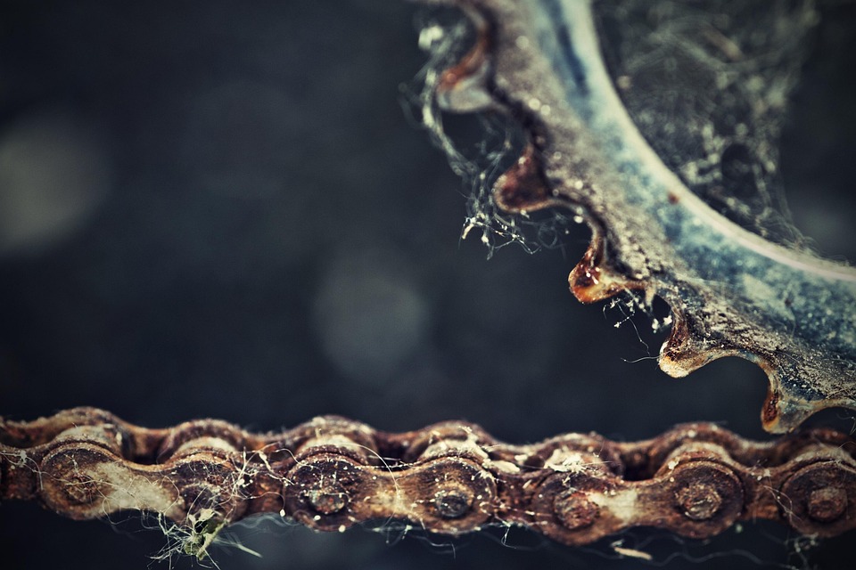 How B2B Apps Can Drive Customer Engagement and Loyalty