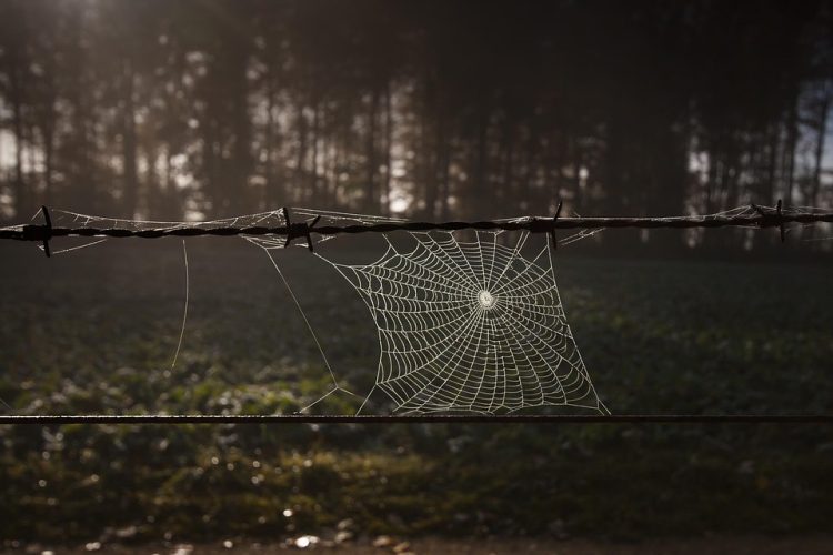 Innovators in Web Application Development: Best Companies to Watch in 2023