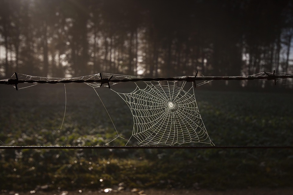Innovators in Web Application Development: Best Companies to Watch in 2023