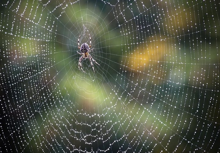 Maximize Your Productivity: Essential Web Tools for Developers in 2023