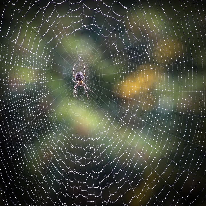 Awesome Image