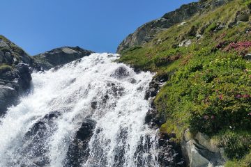 Navigating Common Pitfalls When Building Your First SaaS MVP