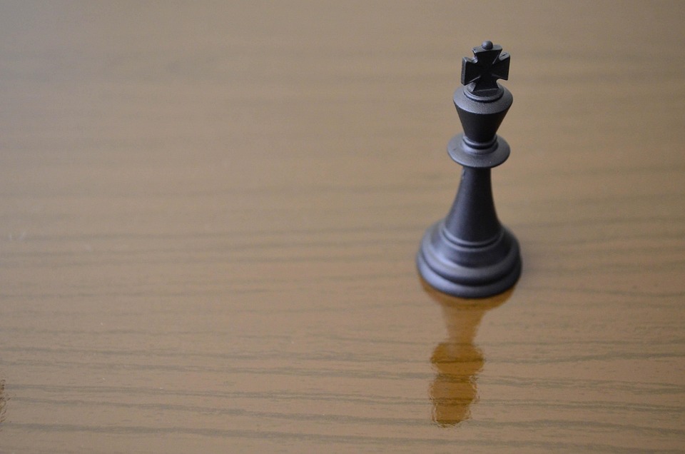 Scaling Success: The Essential Role of a B2B Web App Development Partner