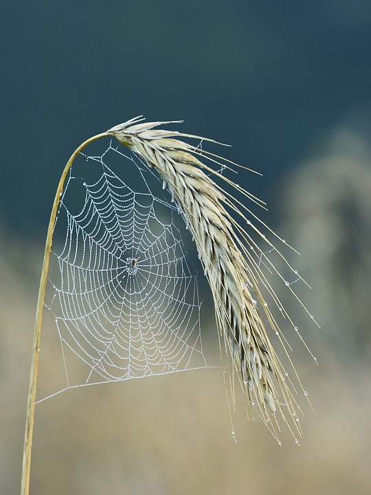 Unlocking Potential: The Benefits of Custom Web Applications for Growing Companies