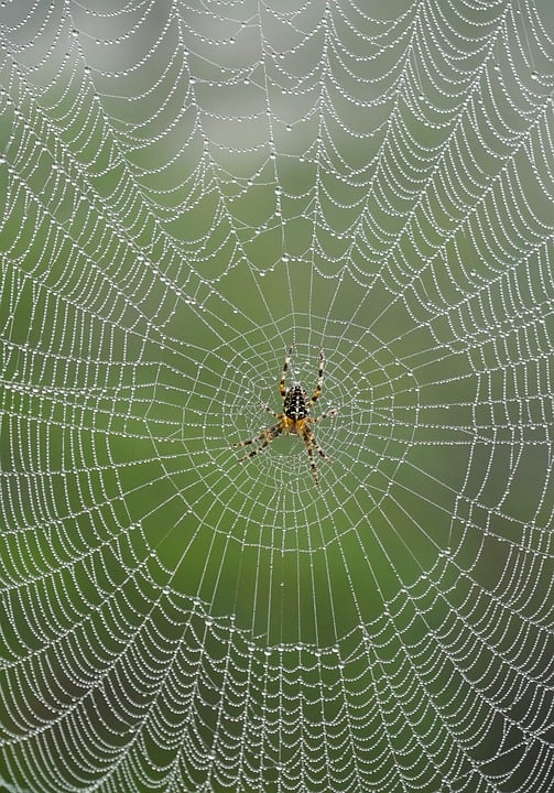 Choosing the Right Tech Stack for Your Business Web App