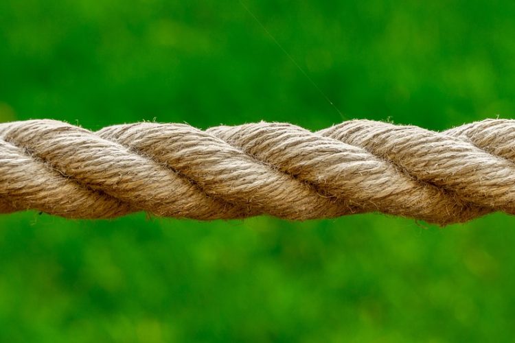 Crafting the Perfect B2C Experience: Top Trends in App Development