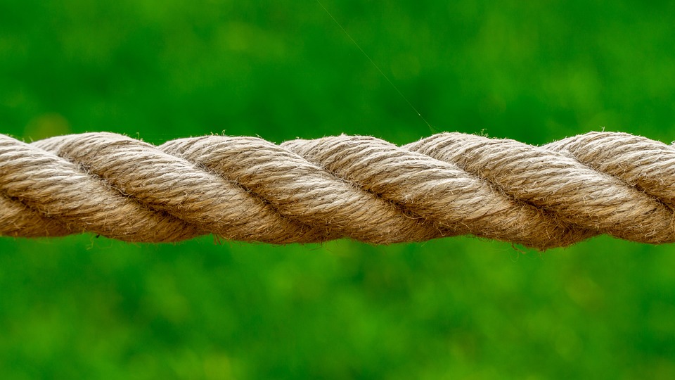 Crafting the Perfect B2C Experience: Top Trends in App Development