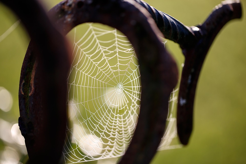 Exploring Drupal Modules: Enhancing Your Web Application Experience