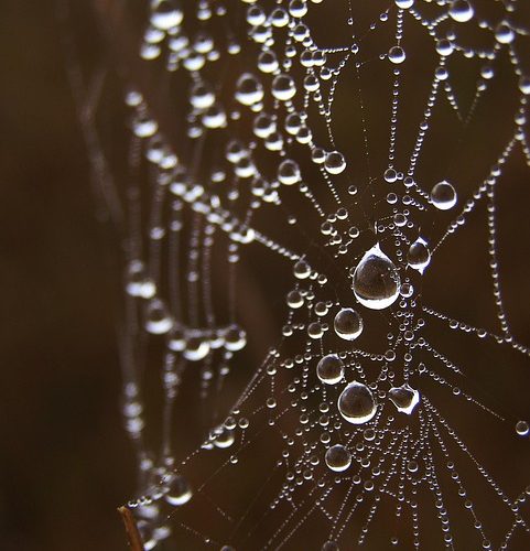 How Desktop Web Applications Are Changing the Software Landscape