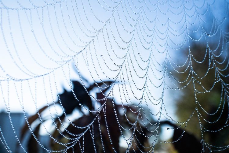Innovative Design on the Go: Mobile Integration in Designer Web Apps