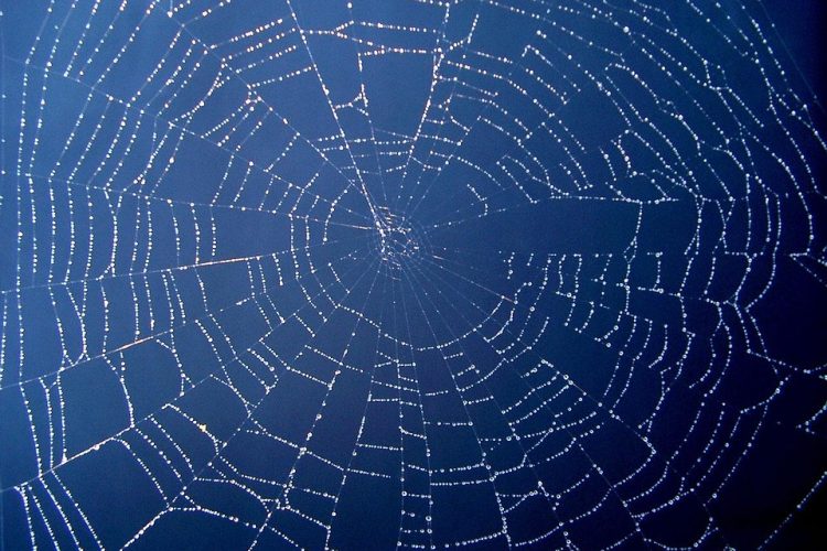 Navigating the Digital Landscape: How Custom Web App Agencies Are Leading the Way