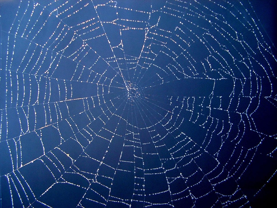 Navigating the Digital Landscape: How Custom Web App Agencies Are Leading the Way