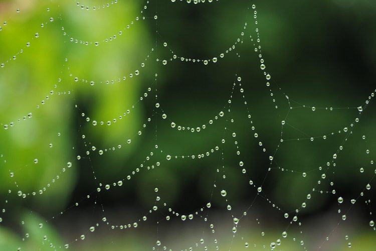 Optimize Your Workflow: Tips for Efficient Desktop Web App Development
