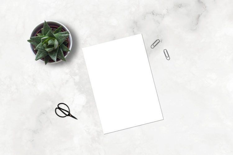 Building Your Dream Store: A Step-by-Step Guide to Setting Up WooCommerce