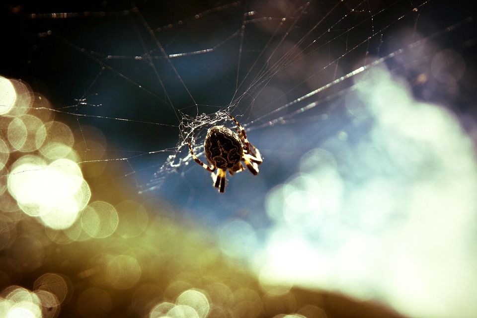 Awesome Image