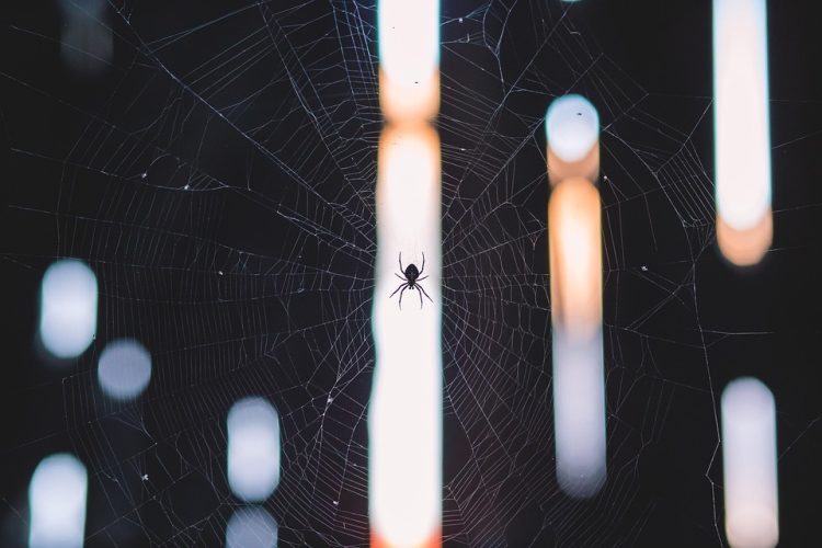 Exploring the Future of Mobile: Trends in Android Web Application Development