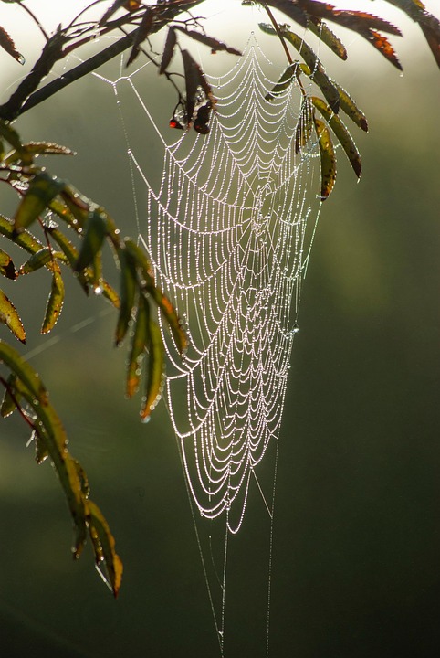 Awesome Image