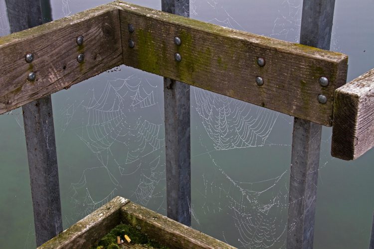 From Zero to Hero: Developing Modern Web Apps with Django