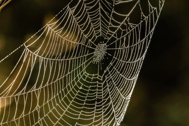 Innovative Web Apps Reshaping the Development Landscape
