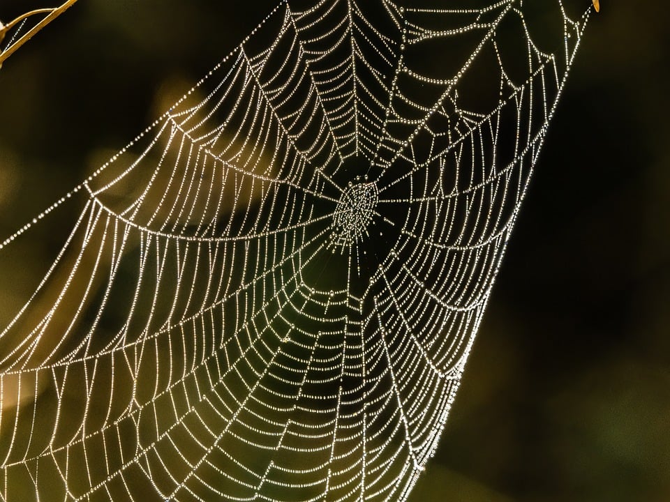 Awesome Image