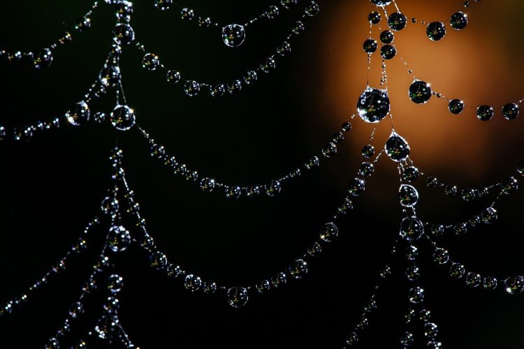 Maximize Performance with Custom Web Development: Here’s How!