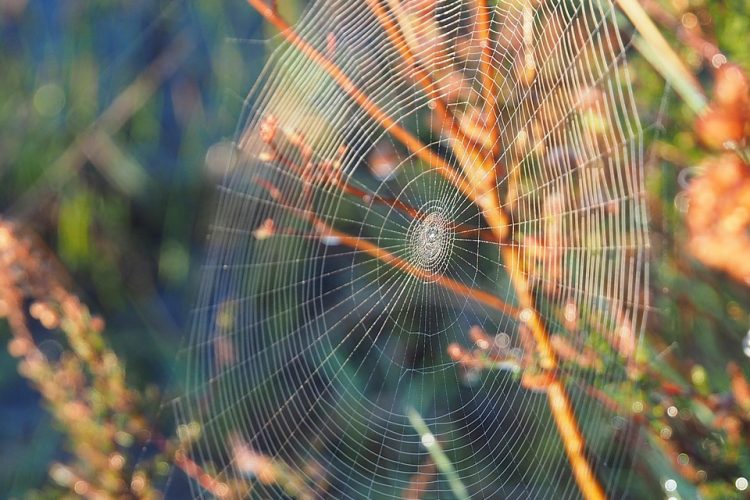 Navigating Challenges in End-to-End Web Development: Tips and Insights