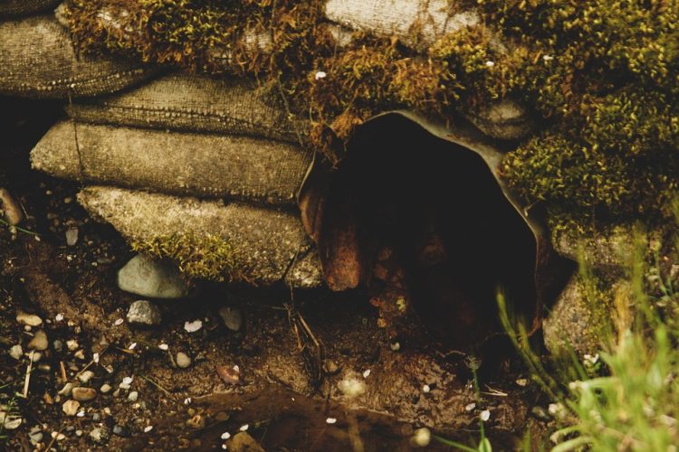 Navigating the MVP Journey: Insights from Top Development Agencies