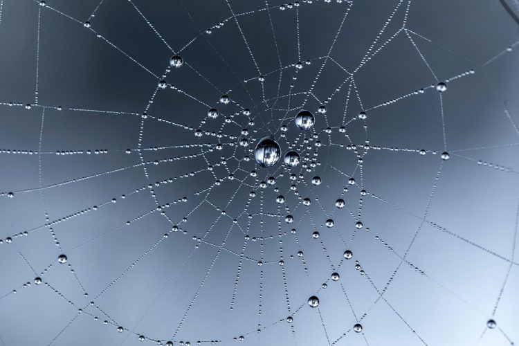 Simplicity Meets Power: A Review of the Newest Design Web Application
