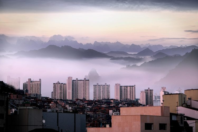 Unlock Success: The Role of MVP Development Agencies in the Startup Ecosystem