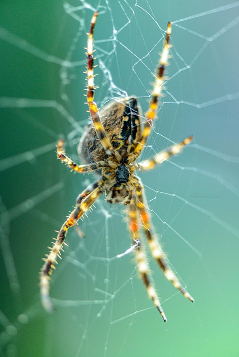 Awesome Image