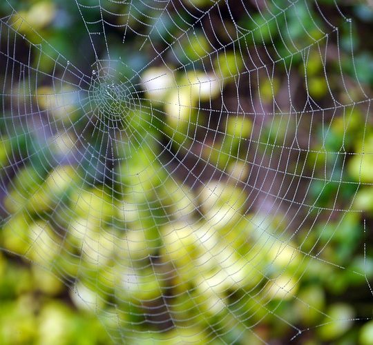 Unlocking Potential: The Power of Tailor-Made Website Solutions