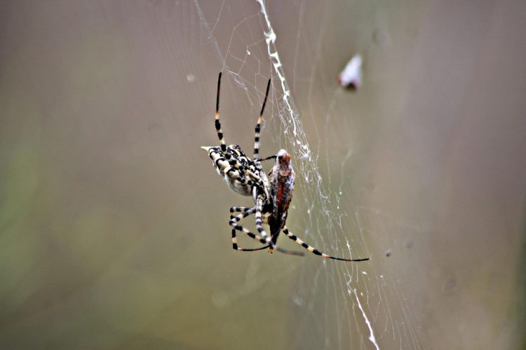 Angular in Action: Real-World Tips for Mobile Web Developers