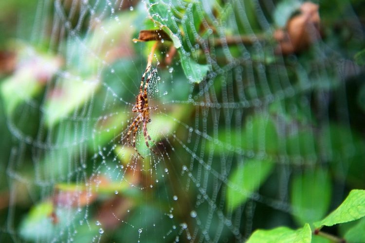 Building Seamless Web Apps: An End-to-End Development Blueprint