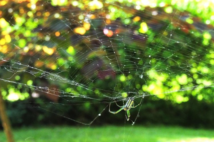 Custom Web Application Development: A Comprehensive Pricing Guide