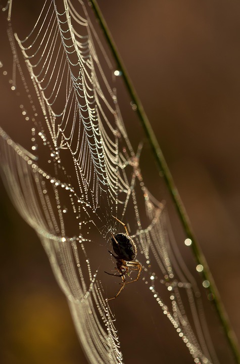 Awesome Image