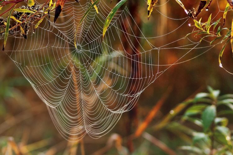 From Idea to Launch: A Comprehensive Guide to eCommerce Web App Development