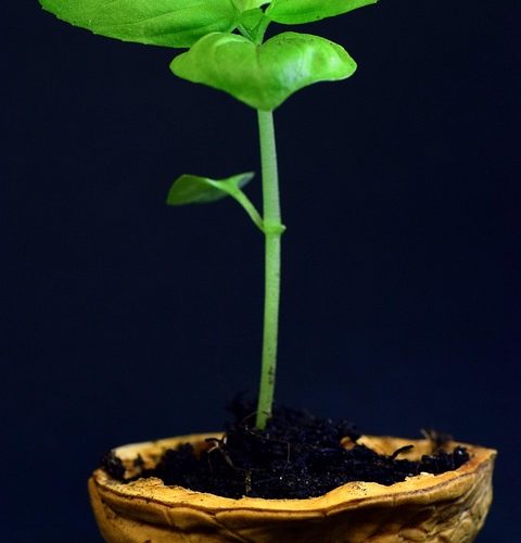 From Idea to Launch: Building a SaaS App in 2023