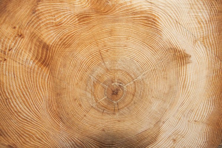 How Bespoke SaaS Is Personalizing the User Experience