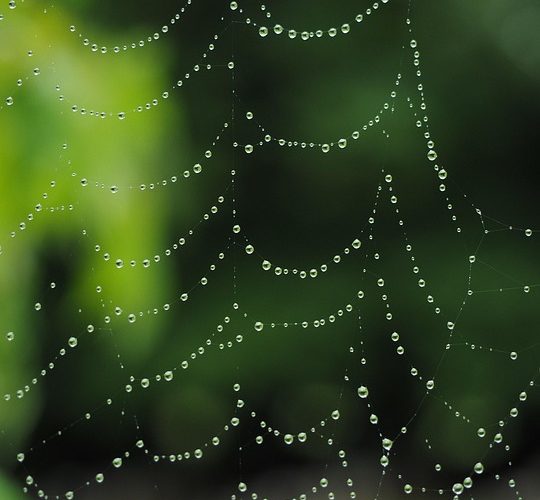 Mastering Django: Tips and Tricks for Web Developers