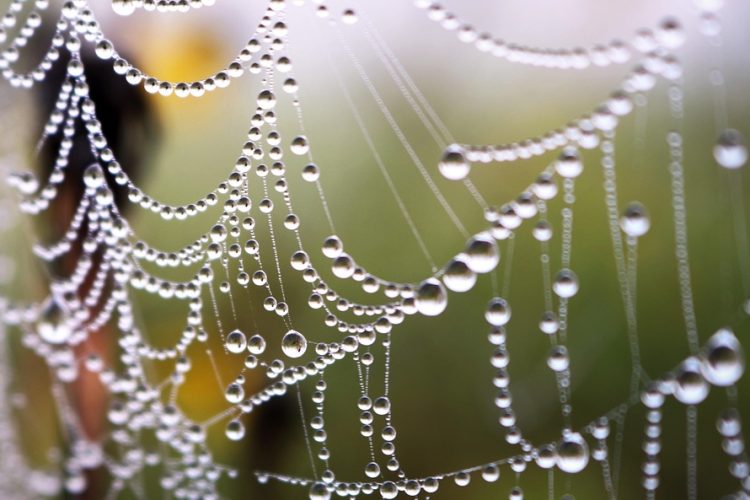 Navigating the Price Tag: How Much Does Custom Web App Development Really Cost?
