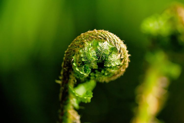 Scaling Your SaaS App: Tips for Handling Growth