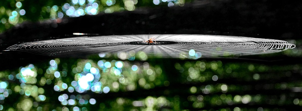 Awesome Image