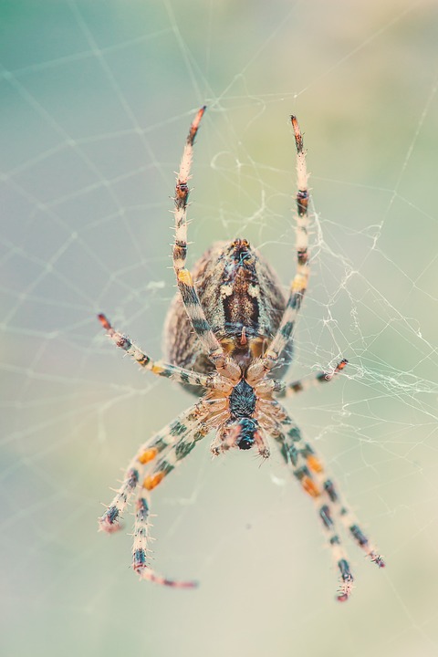 Awesome Image
